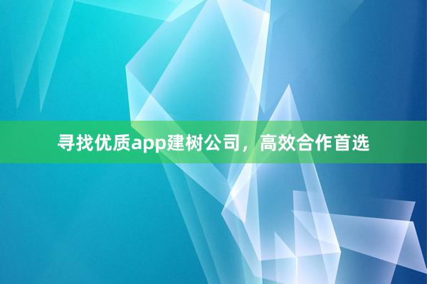 寻找优质app建树公司，高效合作首选