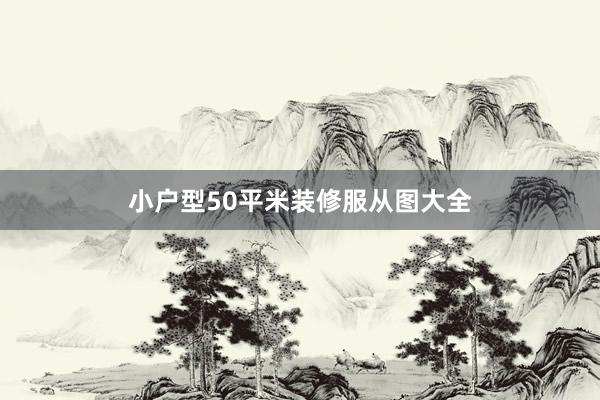 小户型50平米装修服从图大全